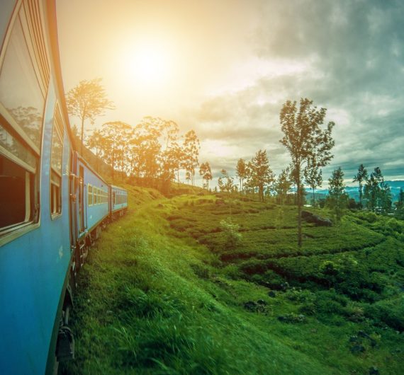 Nuwara-Eliya-3
